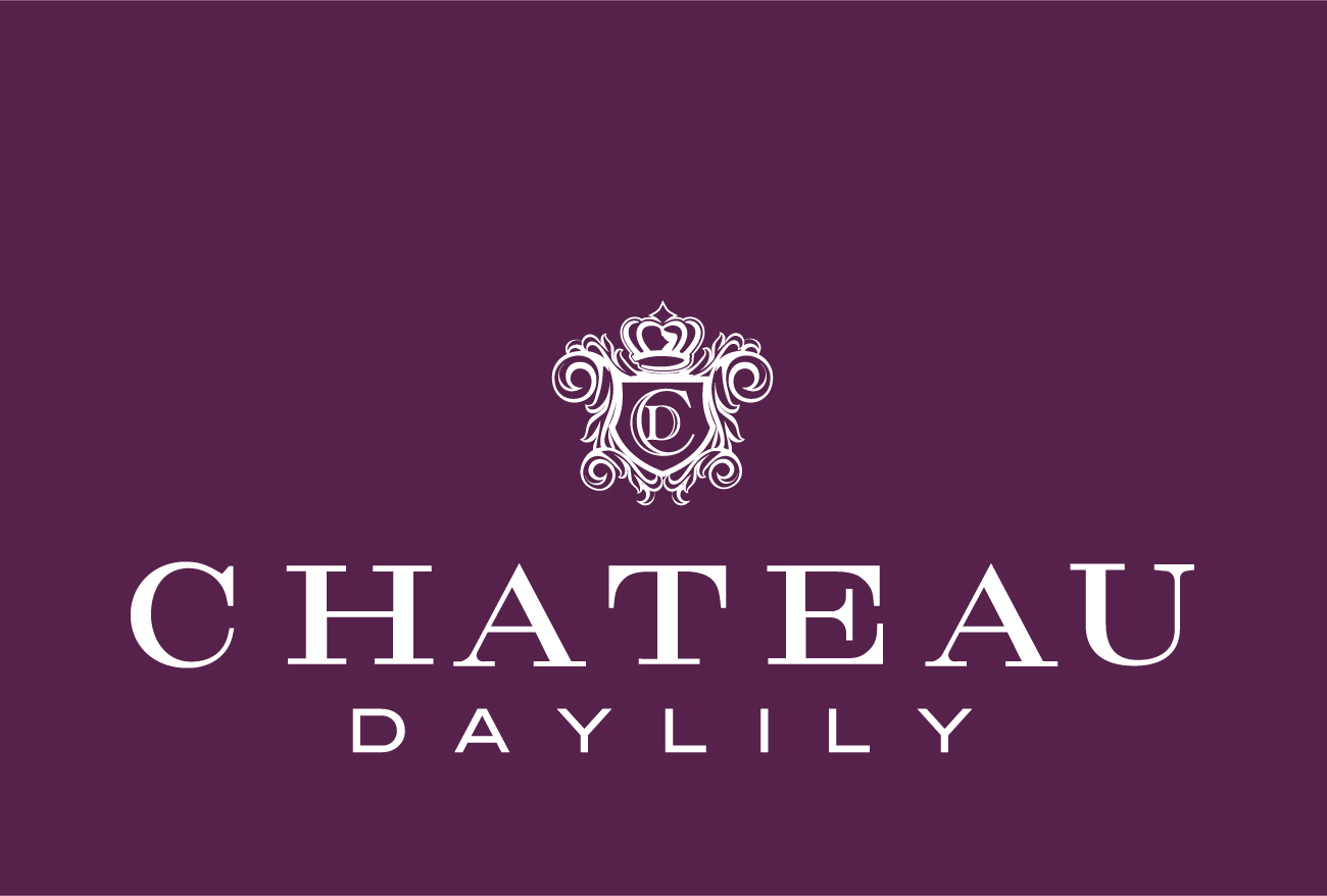 CHATEAU DAY LILY